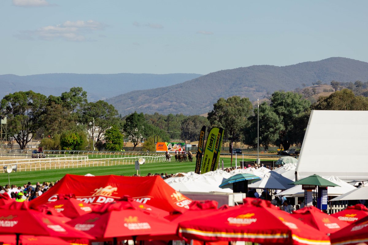 Albury Racing Club tweet media