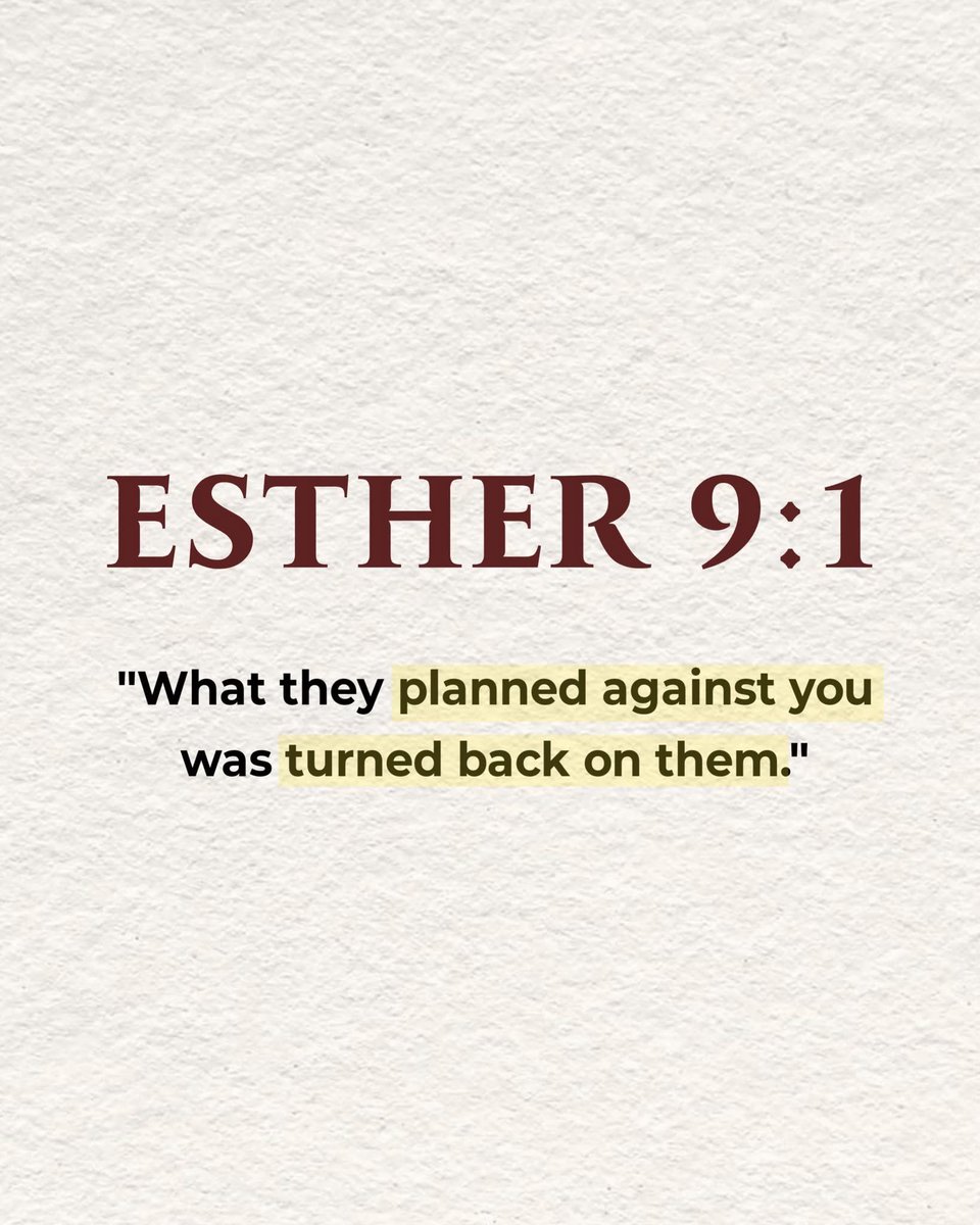 Holy Bible tweet media