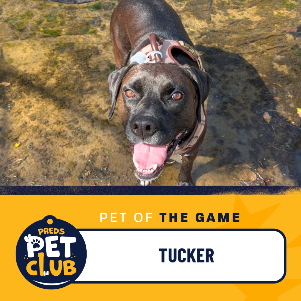 Nashville Predators Foundation tweet media