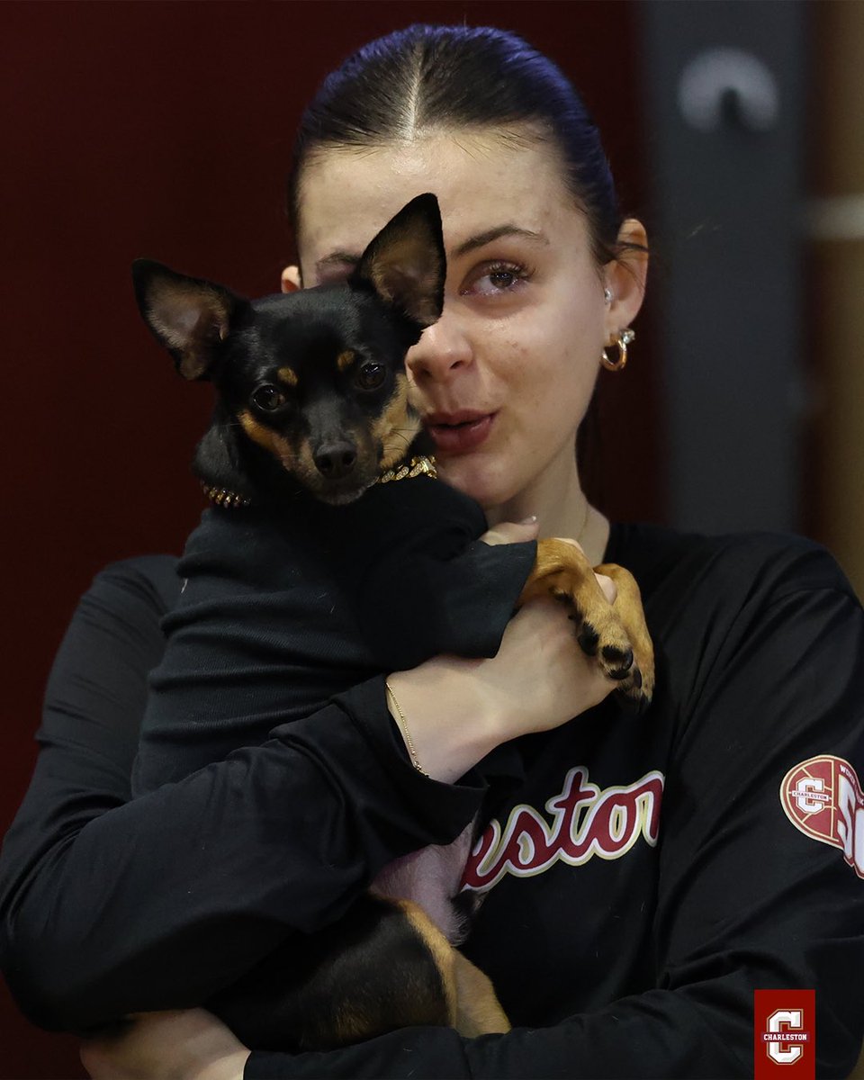 Charleston Women’s Hoops tweet media