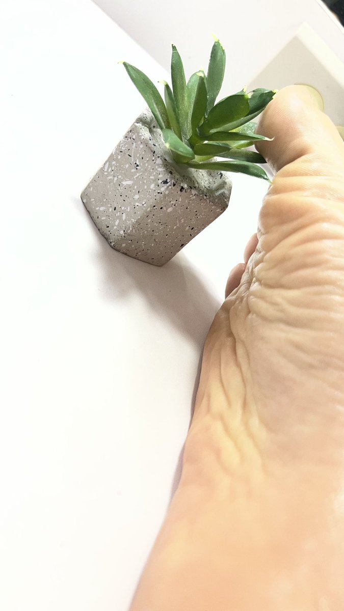feetspretty12's tweet photo. Compra fotos de pies en oferta a 10 USD #feet #venta #gif https://t.co/PwuMaemNqL