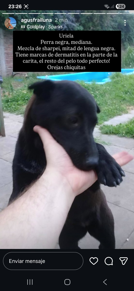 Esta es la hermanita perdida, si son de zona Bernal, Don Bosco, Quilmes estén atentos por favor!!!