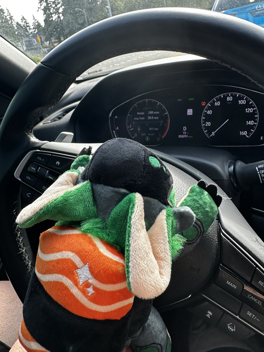 tazioro's tweet photo. @GresleyGoober Be careful they might learn how to drive and steal your car. https://t.co/ngnpwq5y47