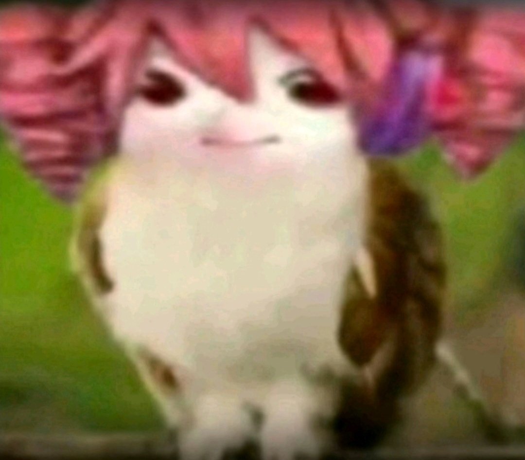 Gonsty2000 tweet media