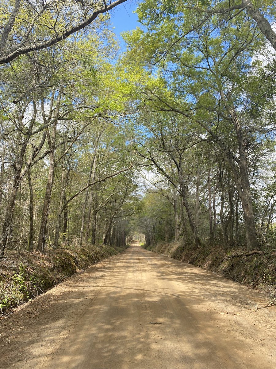 Amos / Draw Near tweet media