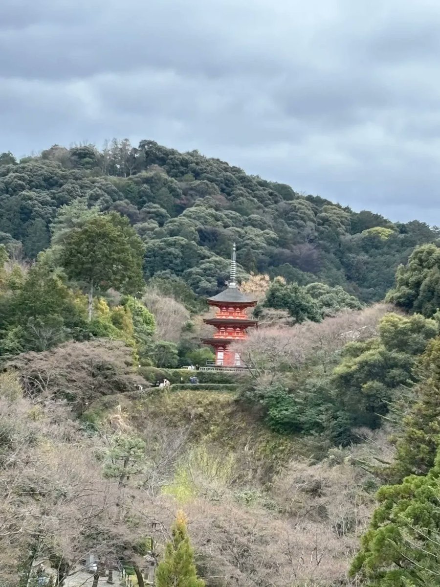 Josu_03's tweet photo. 今日のお出かけ。 京都の大谷本廟へ、お墓参りに。 帰路、久しぶりに清水寺の門をくぐりました。 コロナ禍を経て、訪れるのは実に久しぶり。 境内には梅がちらほら咲き、春の気配。 清水の舞台から見下ろす町並みは絶景でした。 国際色豊かな賑わい。古都の活気を感じました。 
#京都 #清水寺 https://t.co/Ftk7rrCEK8