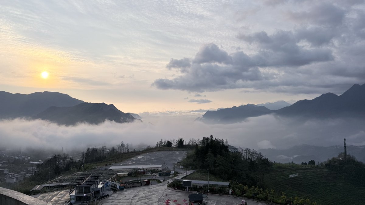 SIR GADFLY tweet media