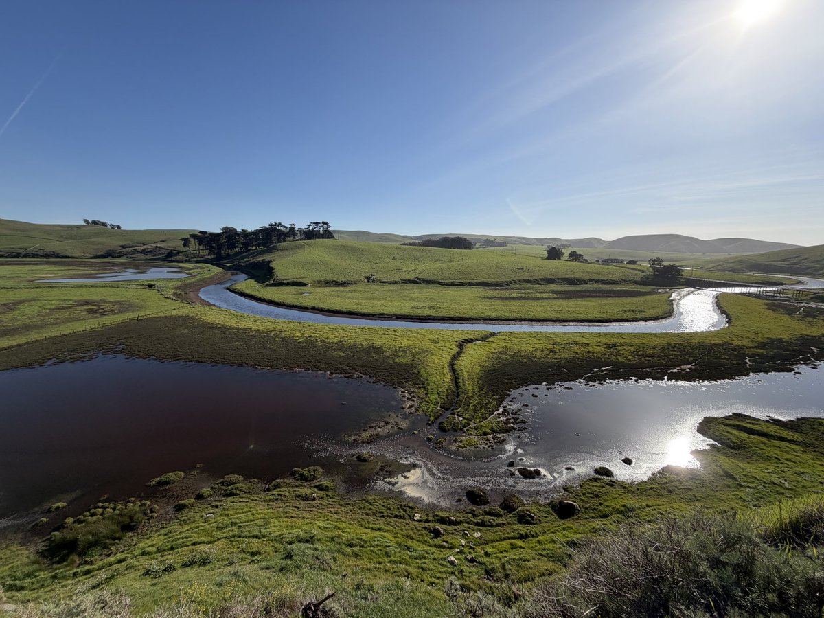 Wayne Sutton tweet media