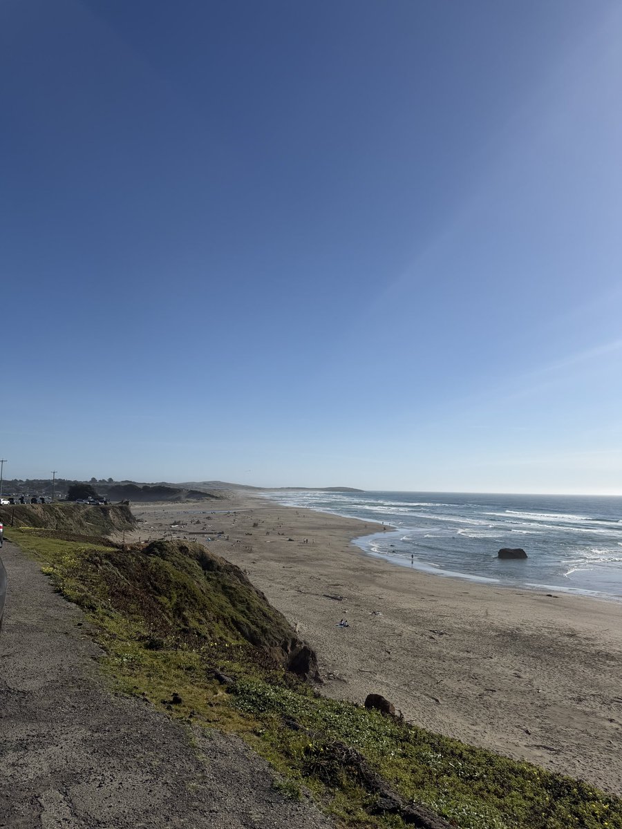 Wayne Sutton tweet media