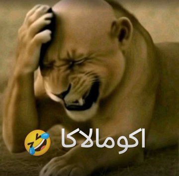 فُرات tweet media