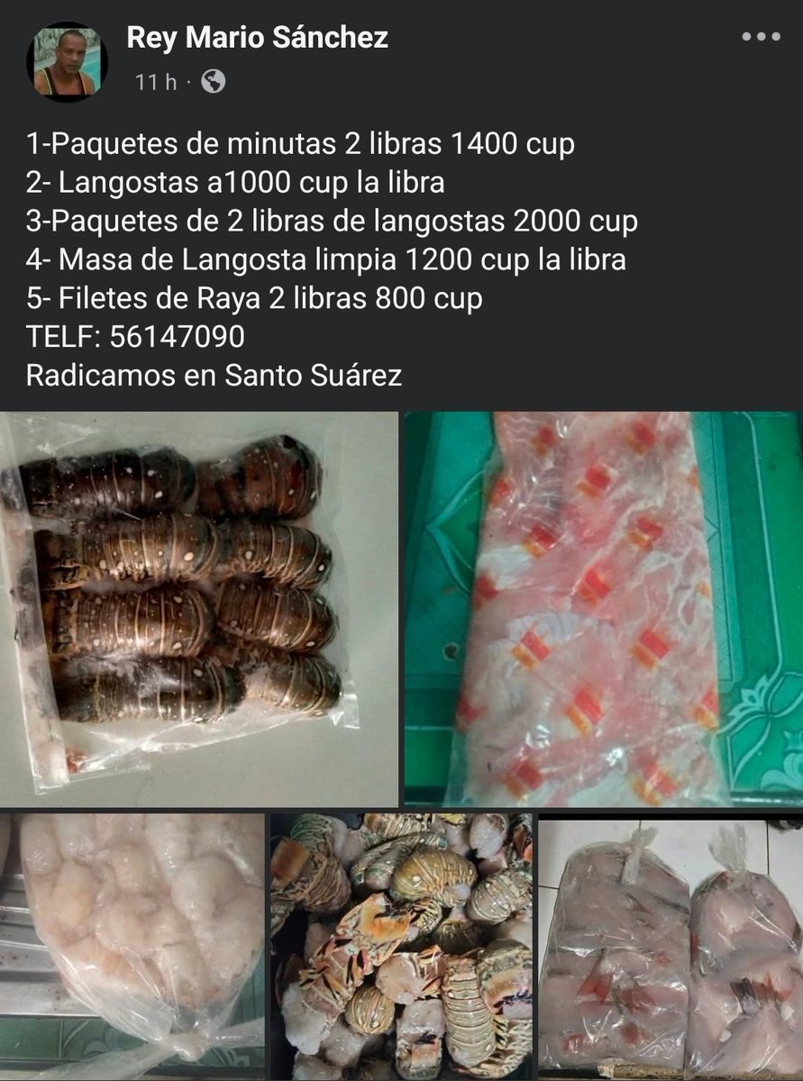 Camarada de Cuba 🔻☭ tweet media