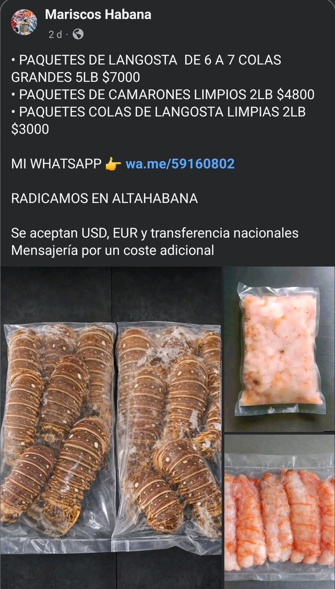 Camarada de Cuba 🔻☭ tweet media