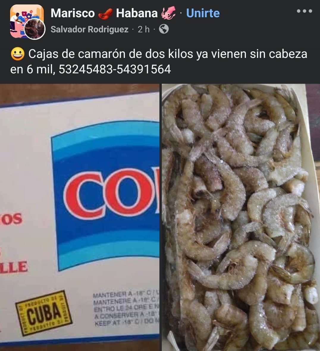 Camarada de Cuba 🔻☭ tweet media