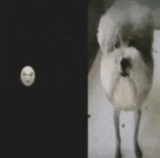medodeguga's tweet photo. @cachorricechart Né, a hoyo bem teve que adiar esse beta pro hype não ofuscar os dois trailers que lançaram pro zzz https://t.co/jmKZJzO6jp