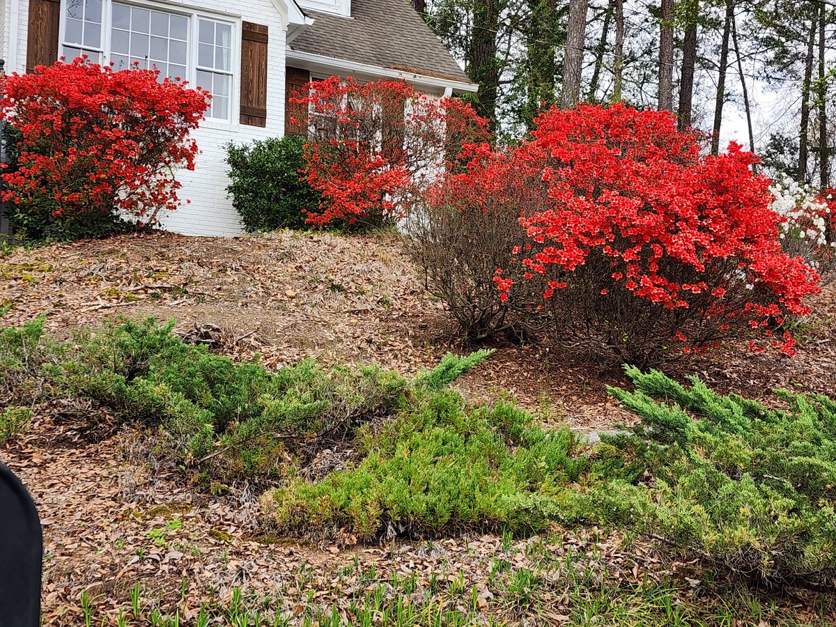 Brenda Lynn 🇺🇸🇺🇸1776🇺🇸🇺🇸 tweet media