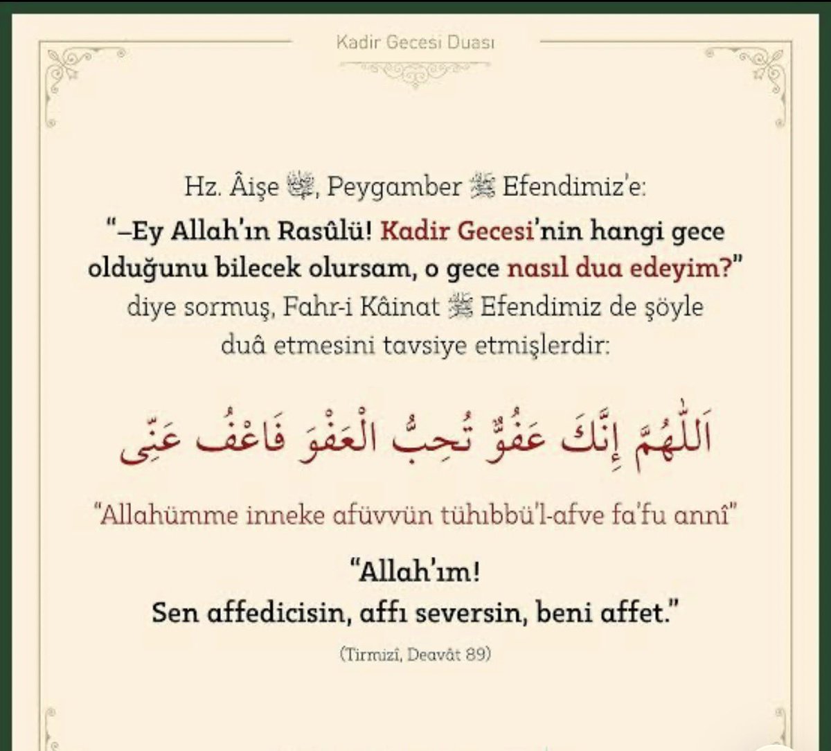 G.🪽🇹🇷 tweet media