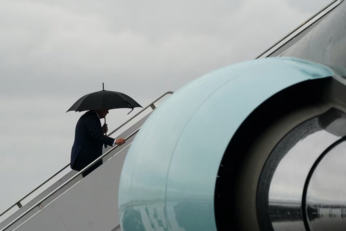 Said Pulido tweet media