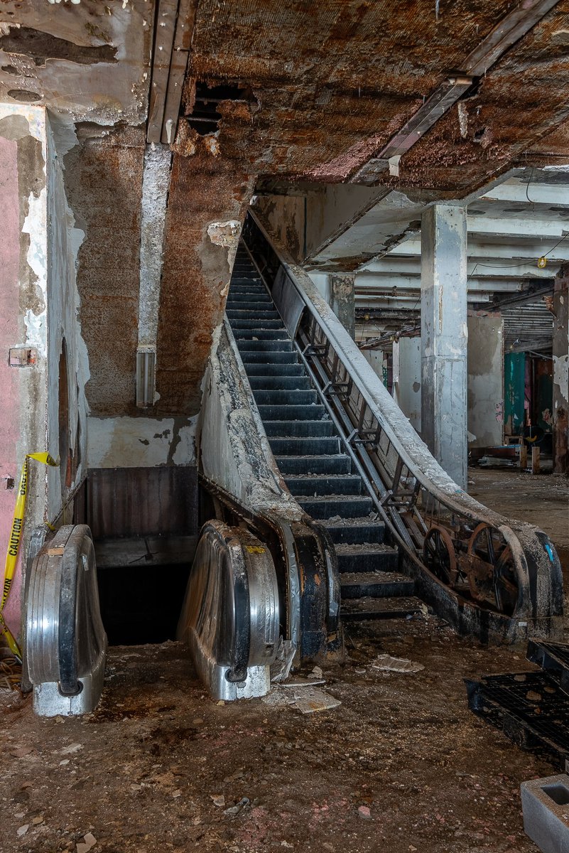 Mr. P. Explores tweet media