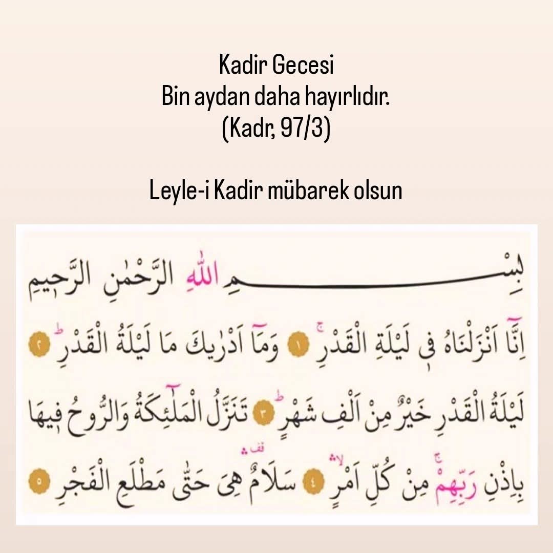 Can Tanem tweet media