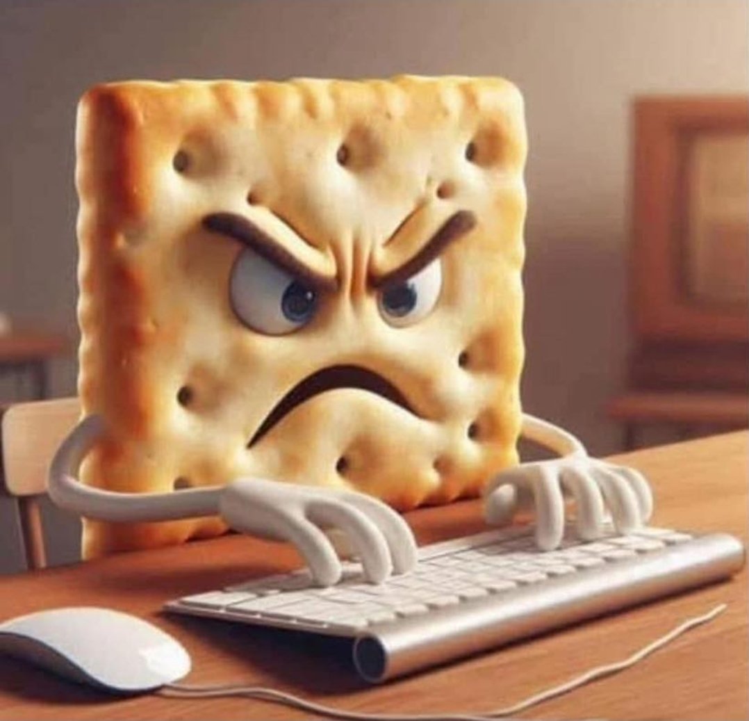 I NO PUNK B!TCH tweet media