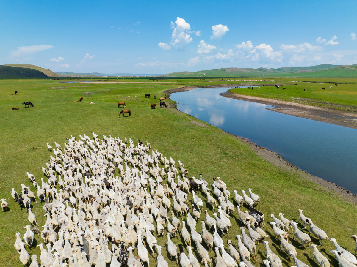 annyzaza tweet media