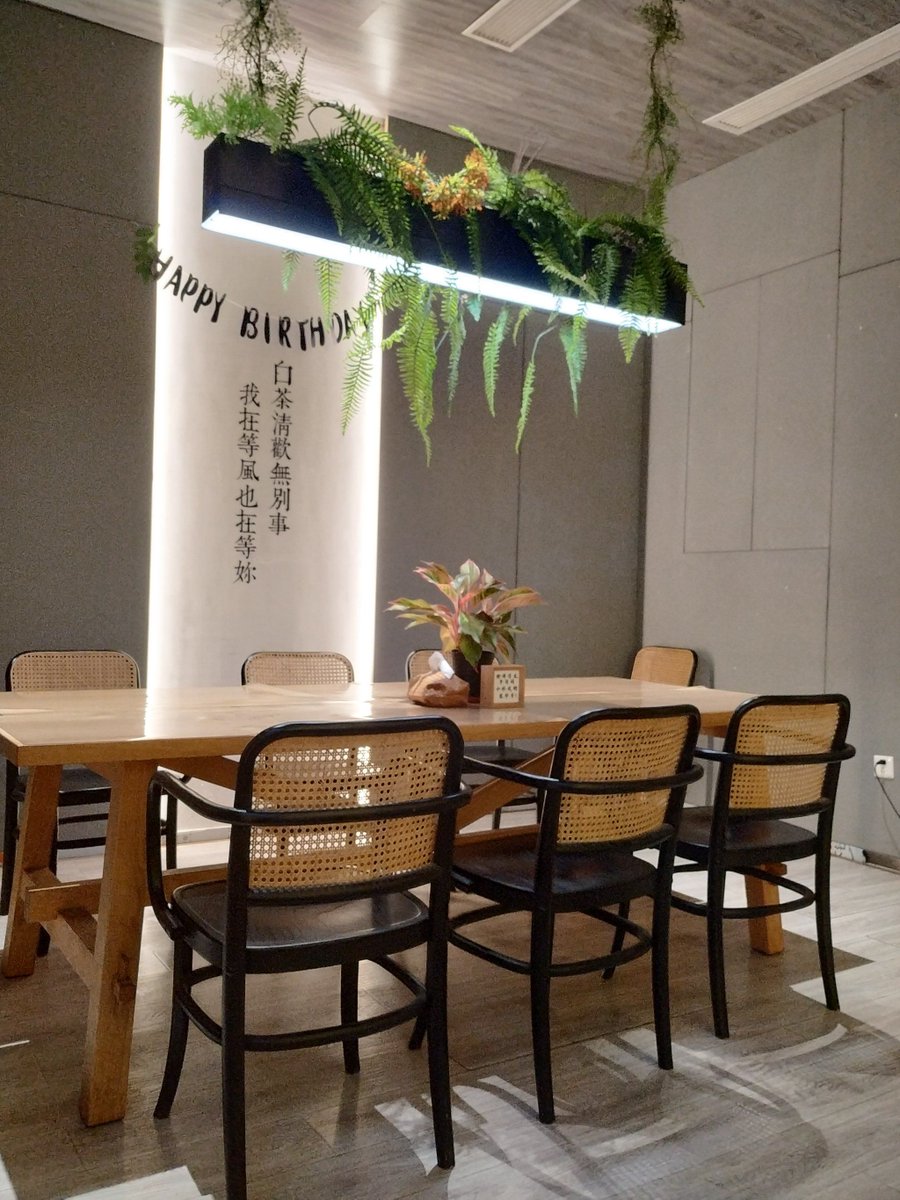 ellyn stein tweet media