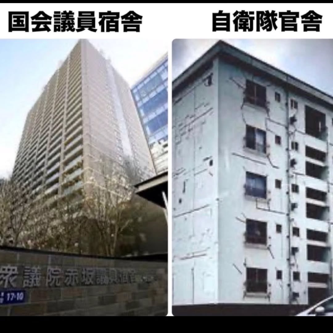 ポッピンココ tweet media