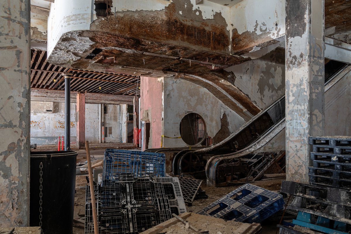 Mr. P. Explores tweet media