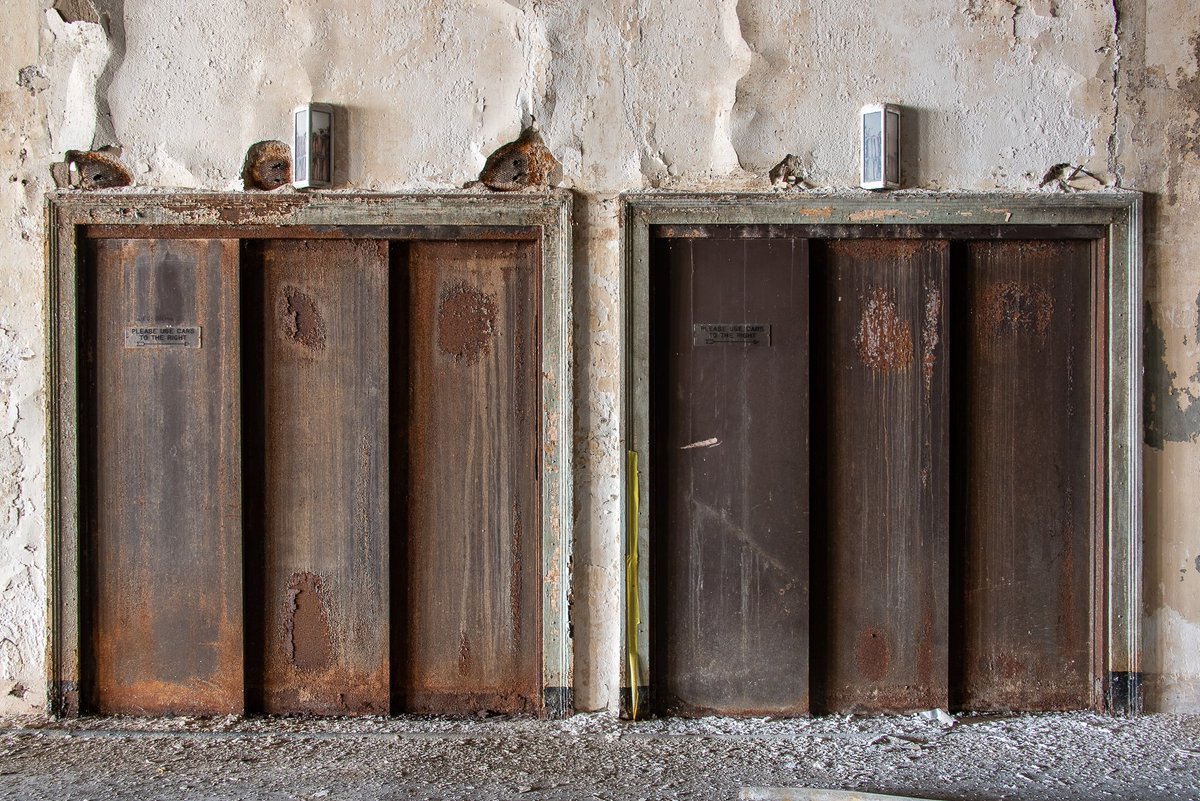 Mr. P. Explores tweet media