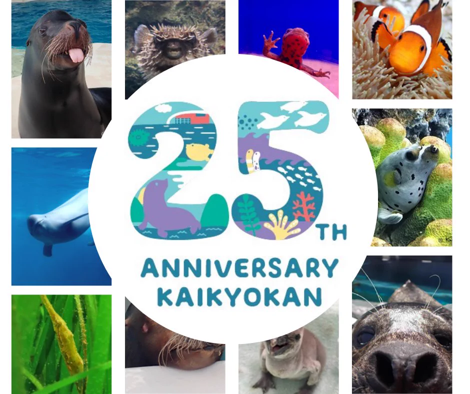 水彩画　ジクレー版画「海響館のペンギンたち」（下関市） しものせき水族館「海響館」公式 (@shimonoseki_aq) / X
