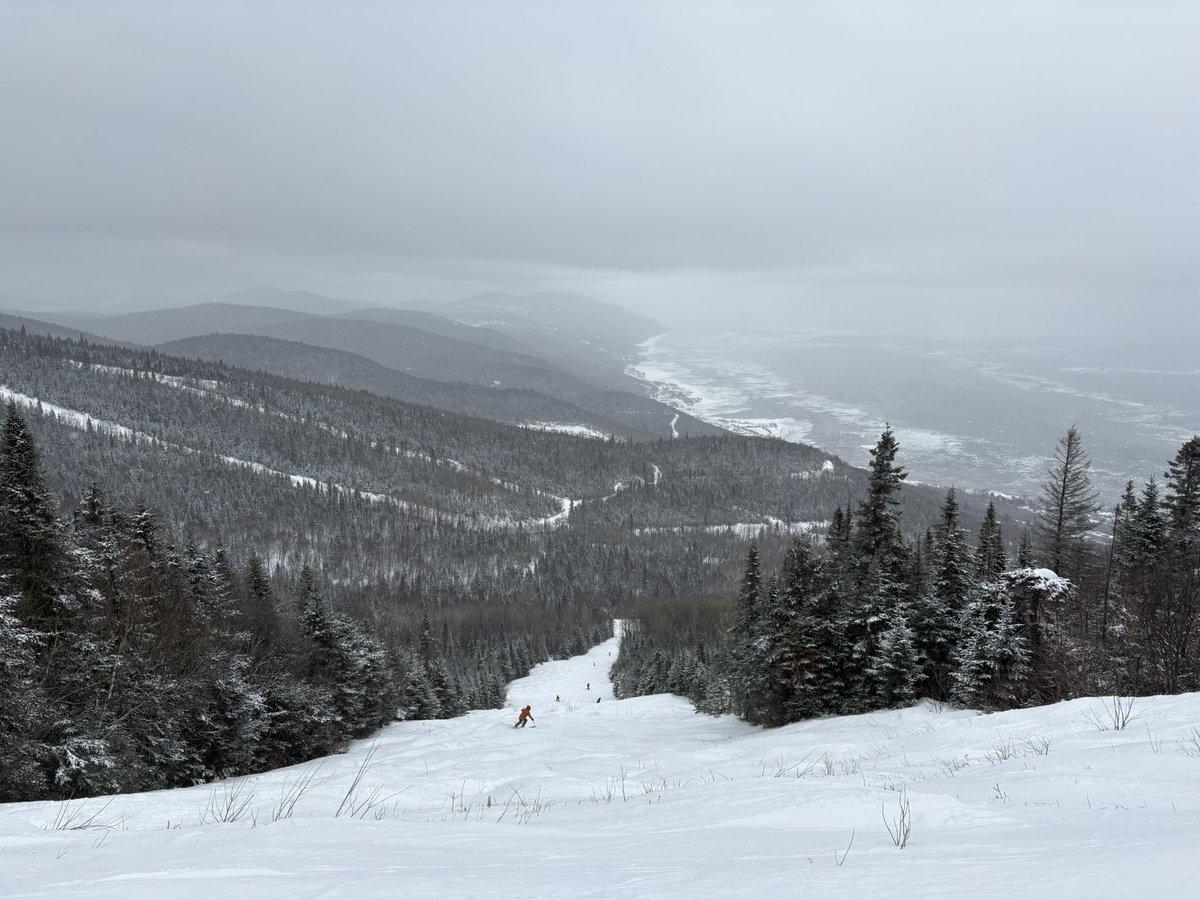 Michael Kantowski tweet media