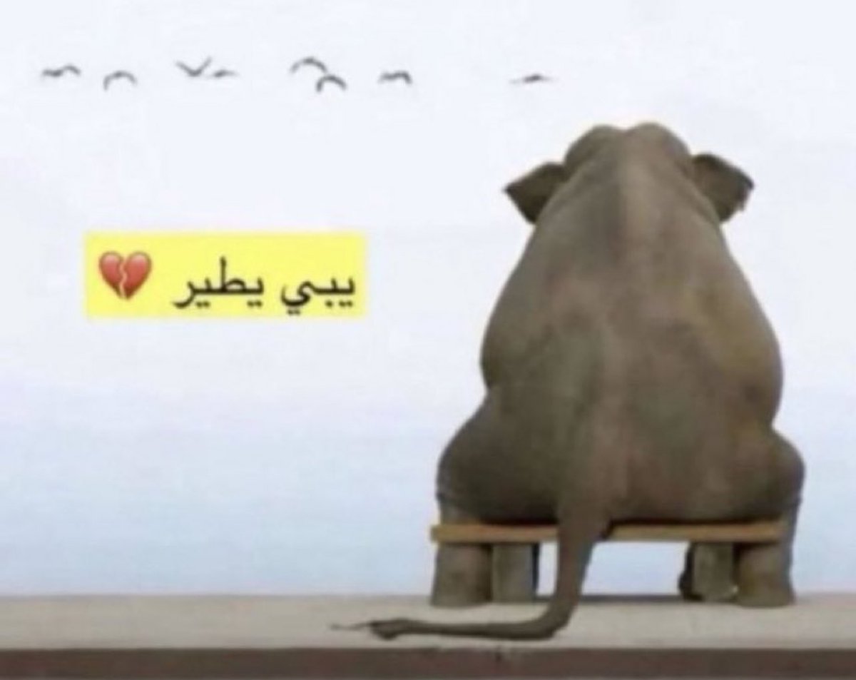 head over heels tweet media