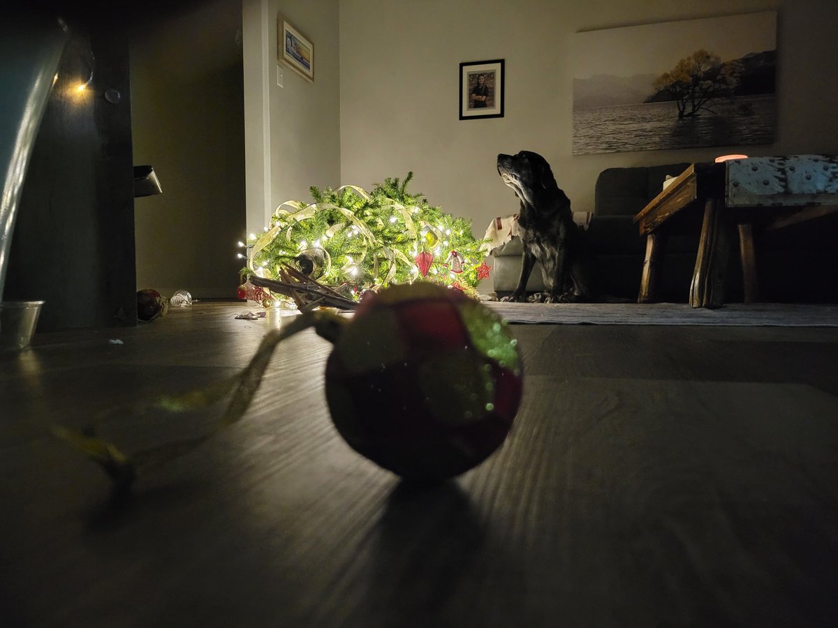 Car_Ramrod tweet media