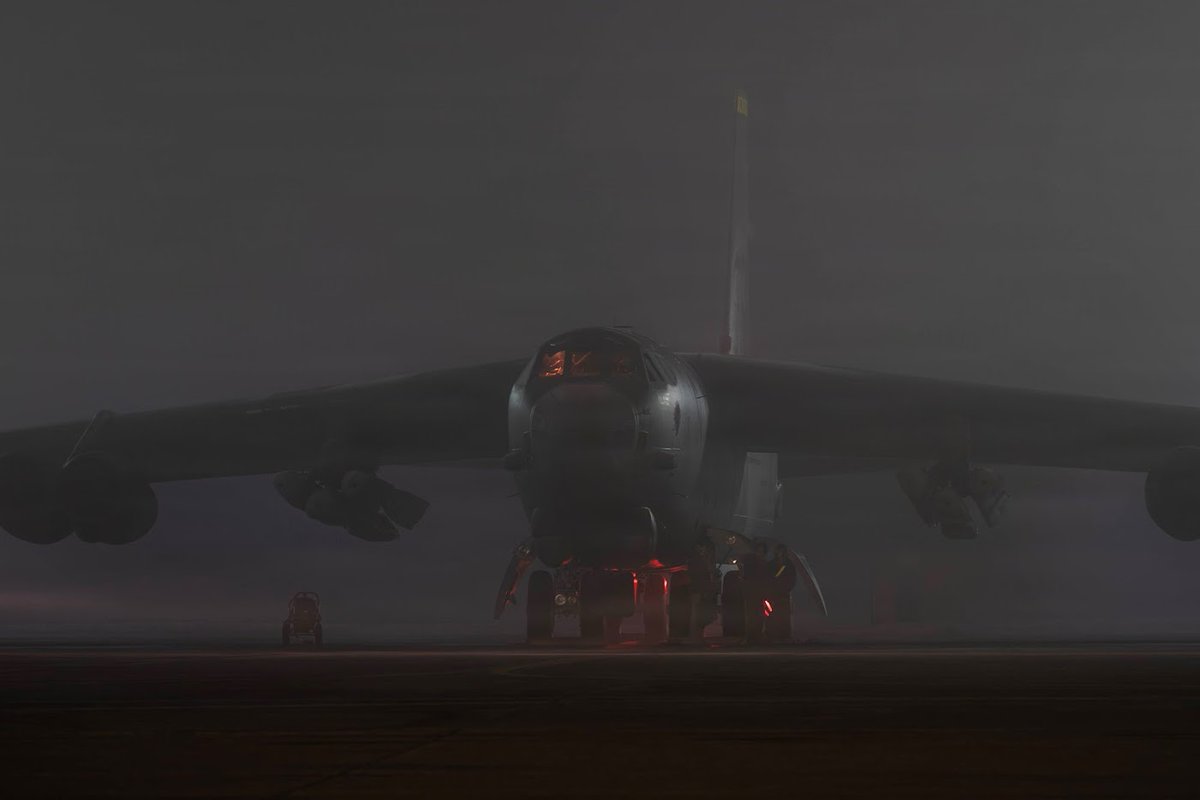 Elise Vanessa tweet media