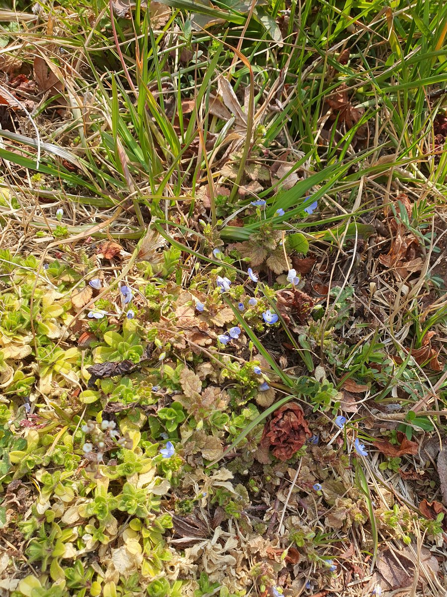 a1we2bo🕯🎗 (@1234dldbs) on Twitter photo 