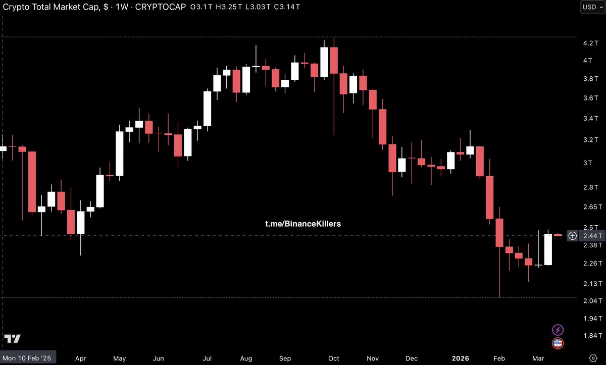 BINANCE KILLERS® tweet media