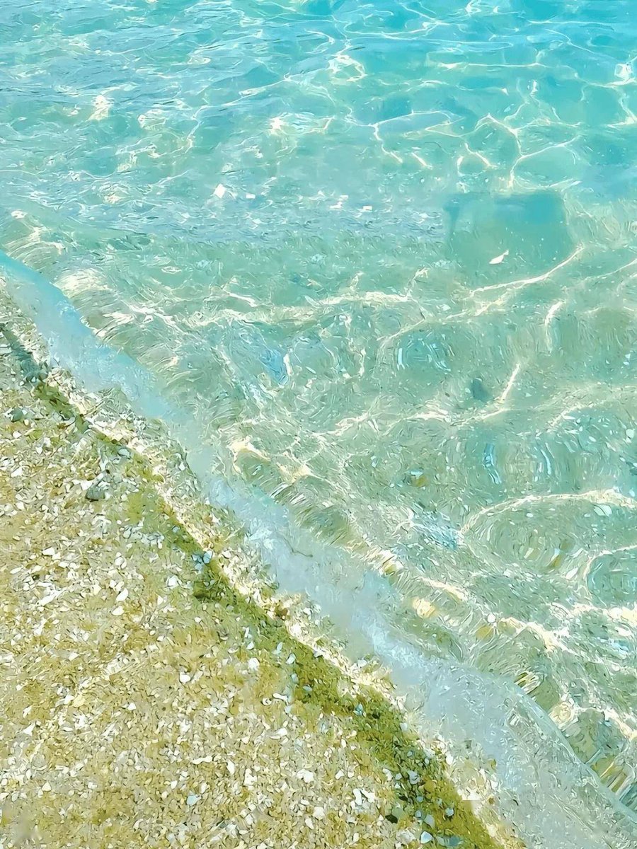 Assistant tweet media