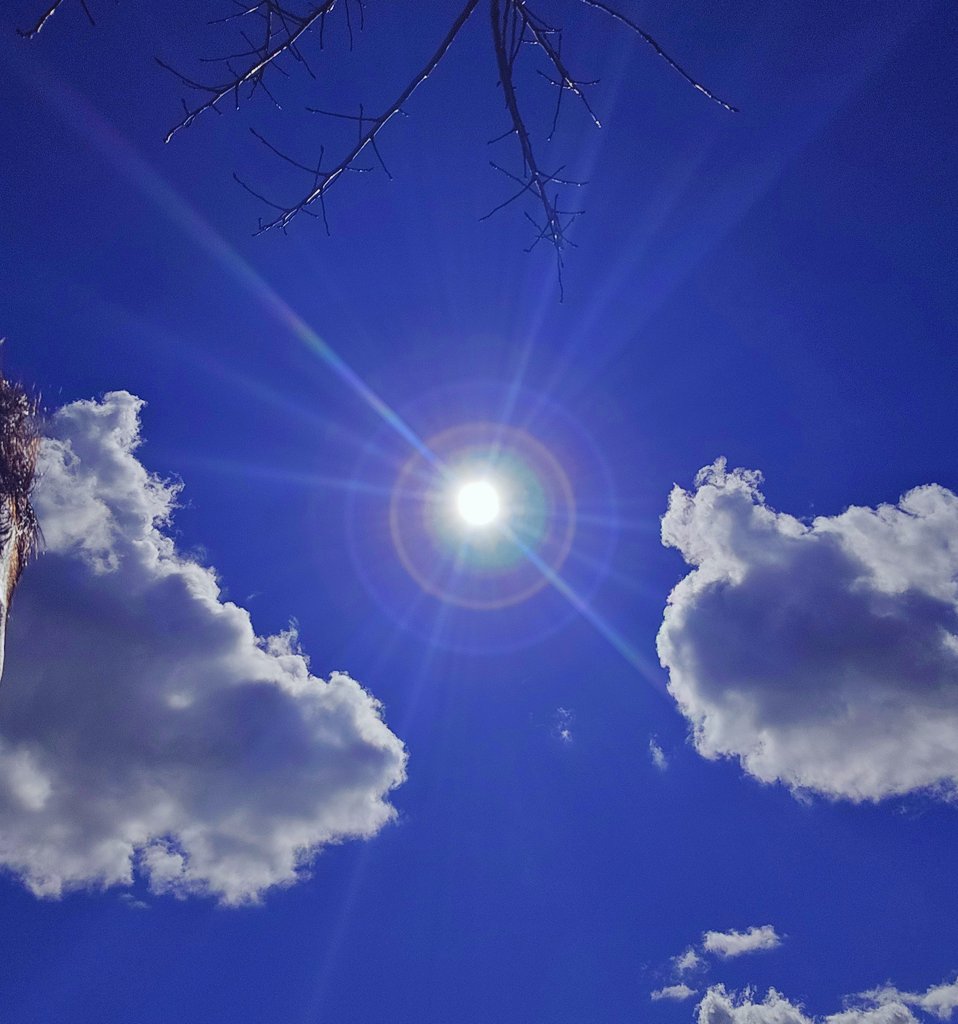 ☄️AgentAngels tweet media