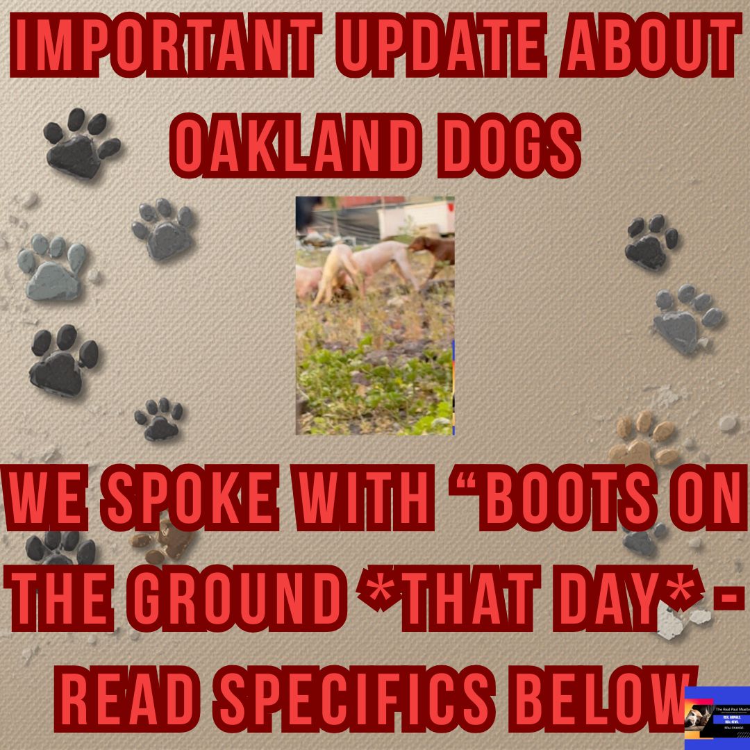 Paul Mueller tweet media