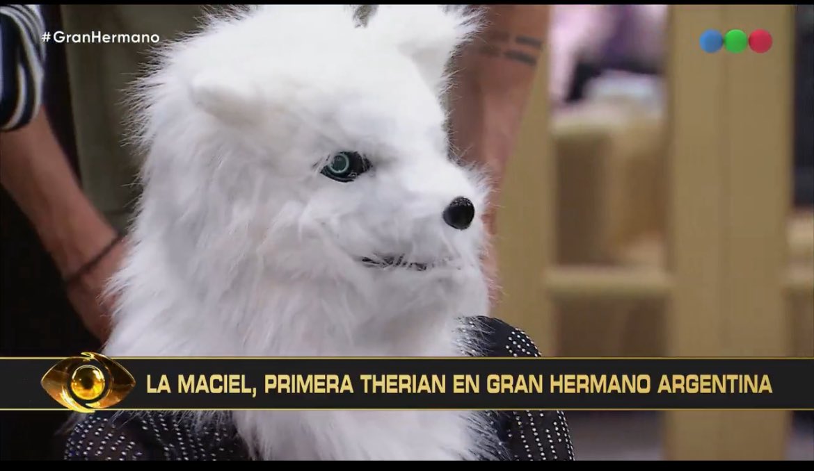 Televisão Argentina tweet media