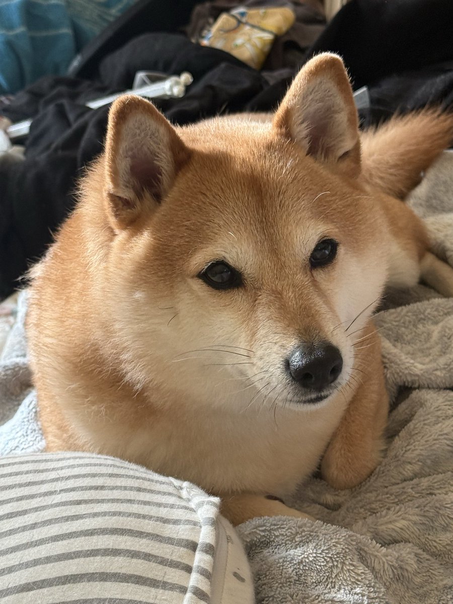 wakokrfj's tweet photo. 🩵逃げていいんです🩷

♪泣きたい
♪怒りたい
♪叫びたい
♪悲しい
♪モヤモヤしている
♪現実から逃げたい

今､心が痛い人は逃げていいんです
周りを気にせず逃げましょう
今のあなたには逃げることが大事です

あなたの心が叫んでいます

#心が痛い
#そのままで良い
#悲しい
#叫びたい
#大丈夫 https://t.co/RdzHAGHpCp