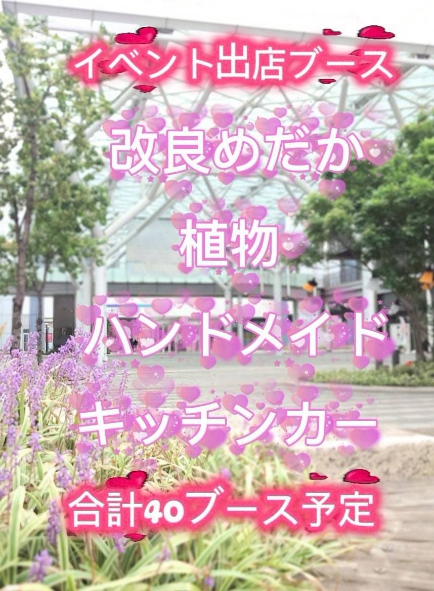 tmtokai's tweet photo. 第3回・愛知めだかマルシェin太田川を4月19日日曜日に、太田川駅西側大屋根広場で開催します！

https://t.co/NIBCpFN0bI

#めだかマルシェ
#太田川 https://t.co/iXUCm2smOX