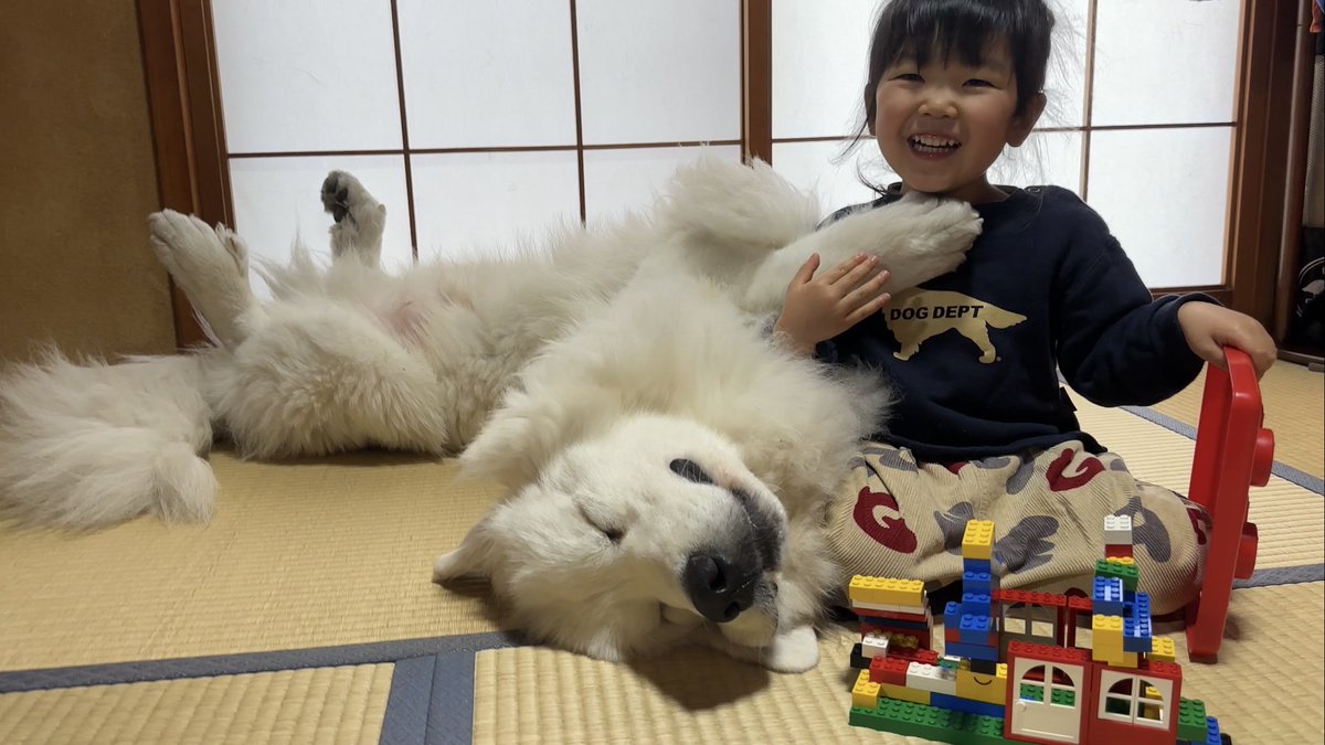 yamanookukara's tweet photo. 超大型犬の正しい使い方☺️
(ぼんぼん) https://t.co/XSwC3oCDUf
