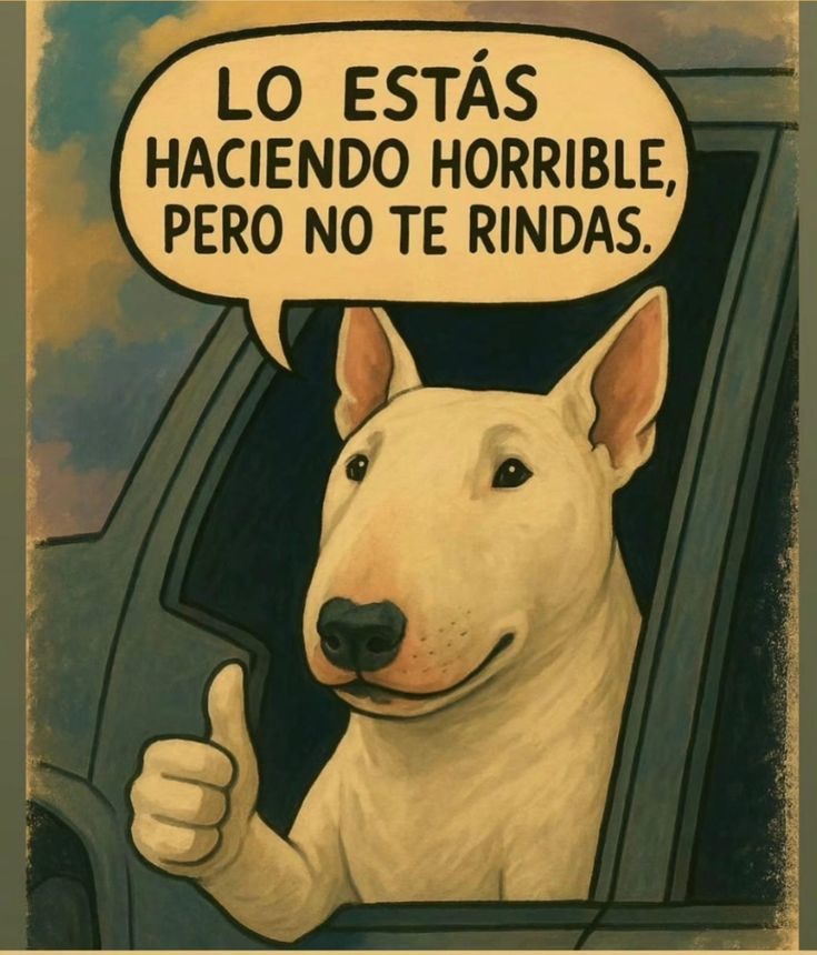 mateo280's tweet photo. @GuidoBellidoU https://t.co/zldeL79bGT