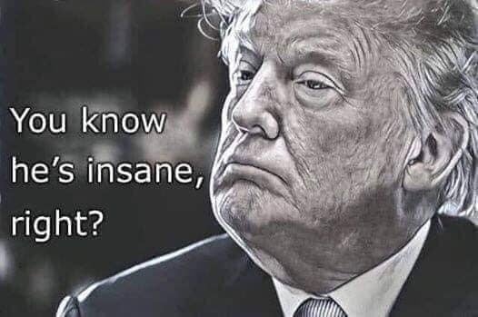 〽️dbrown tweet media