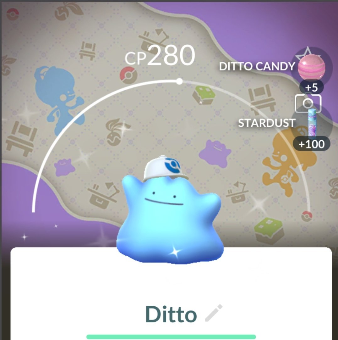 FilthyPokéShow tweet media