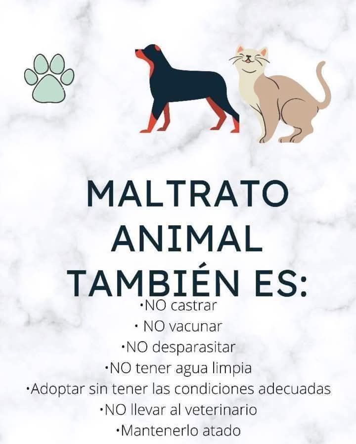 Sabueson tweet media