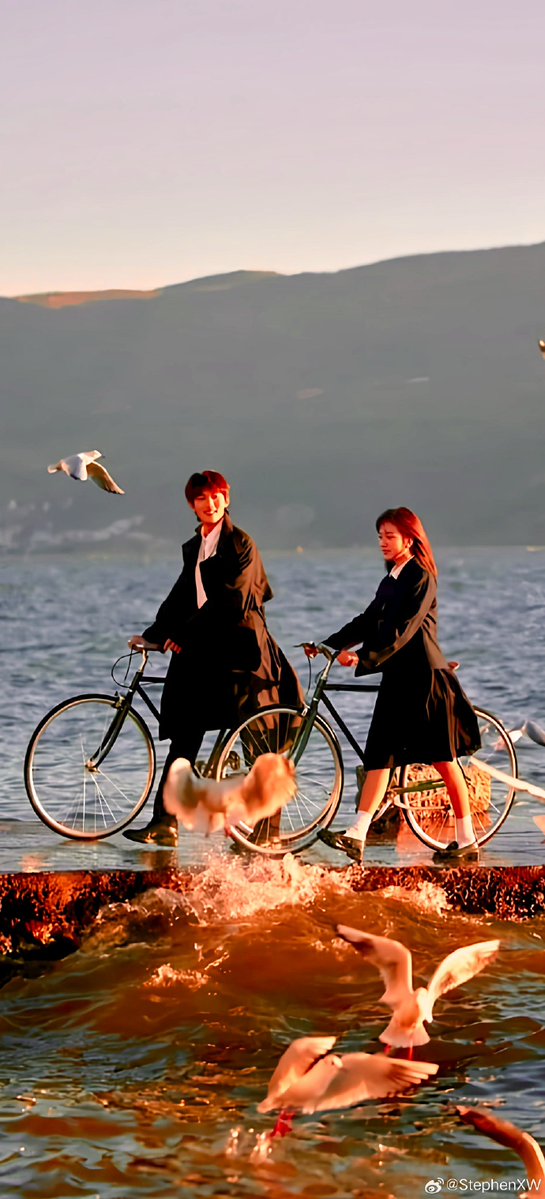 Calli Feier tweet media