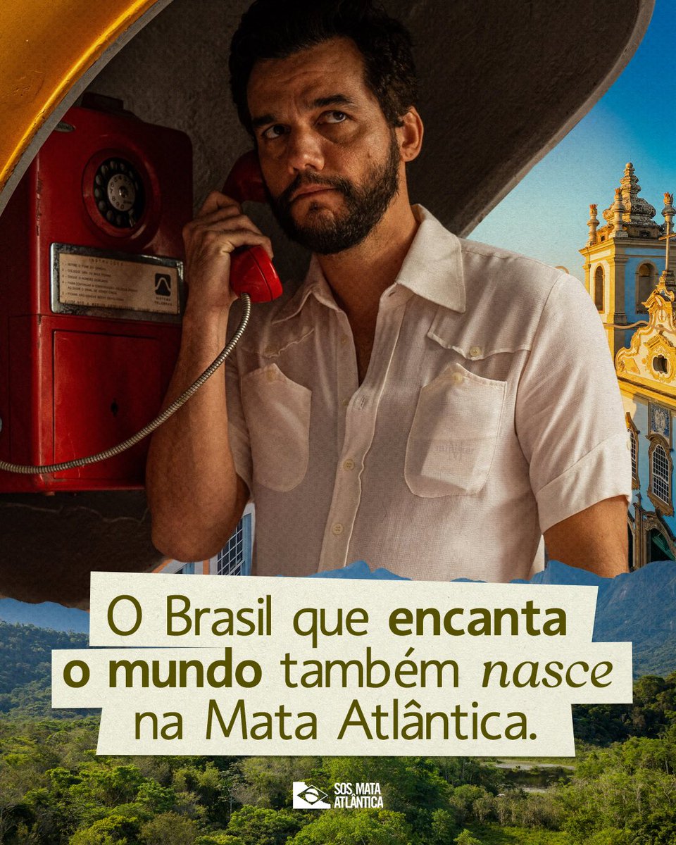 SOS Mata Atlântica tweet media