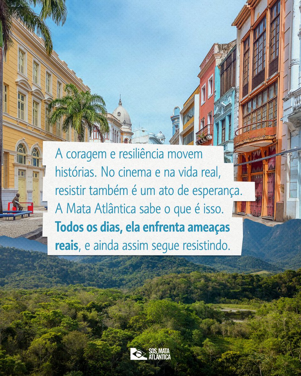 SOS Mata Atlântica tweet media